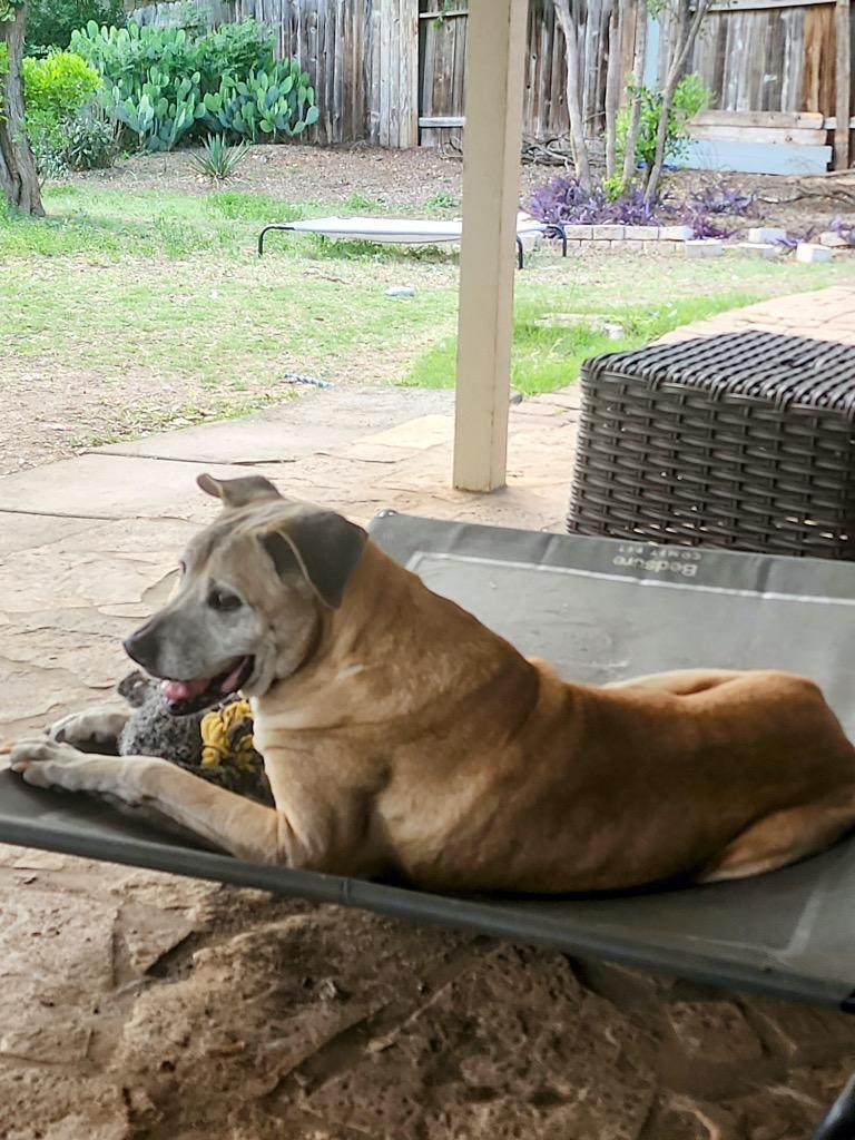 Hope Sundae — thumbnail 6