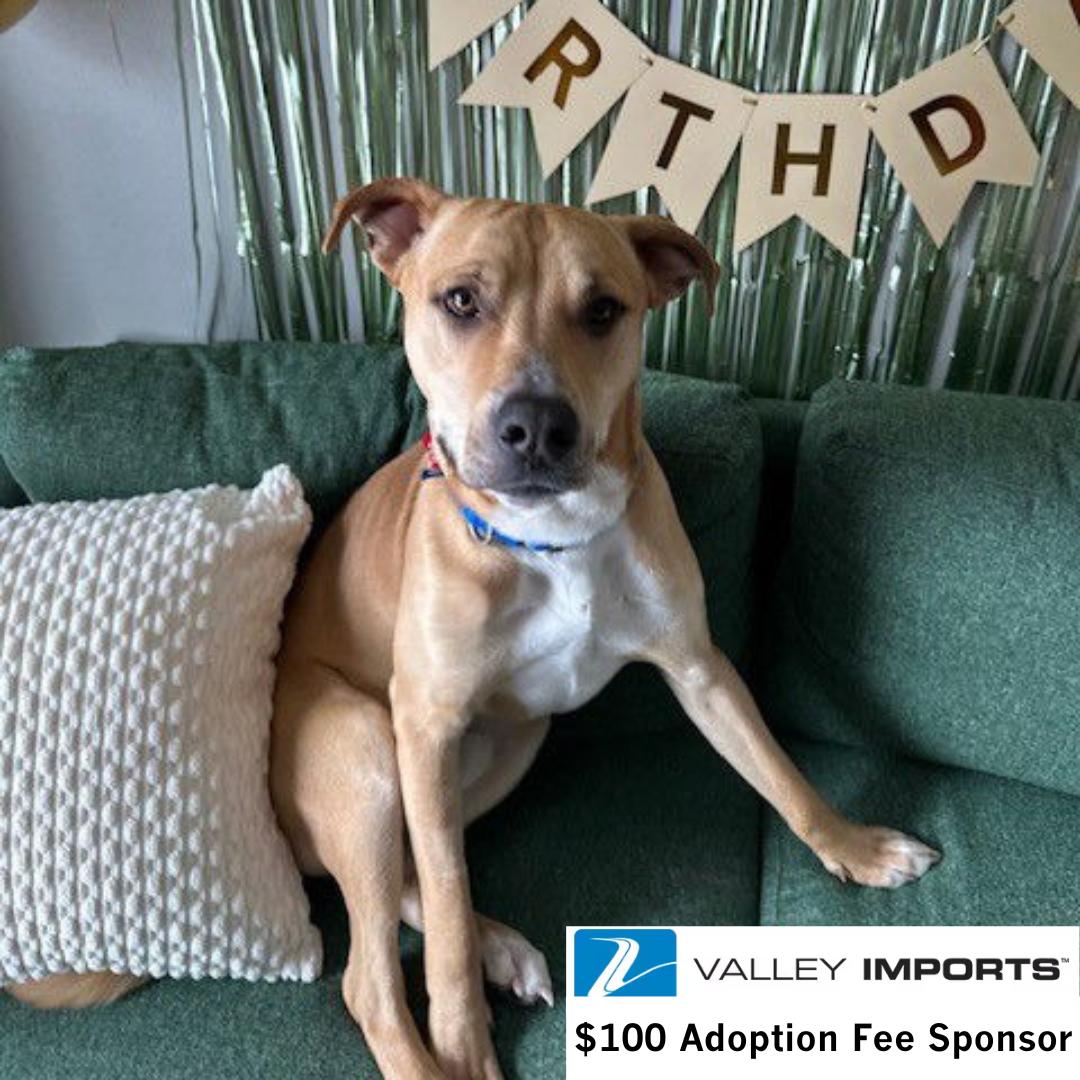 Hitch Trailblazer — thumbnail 2