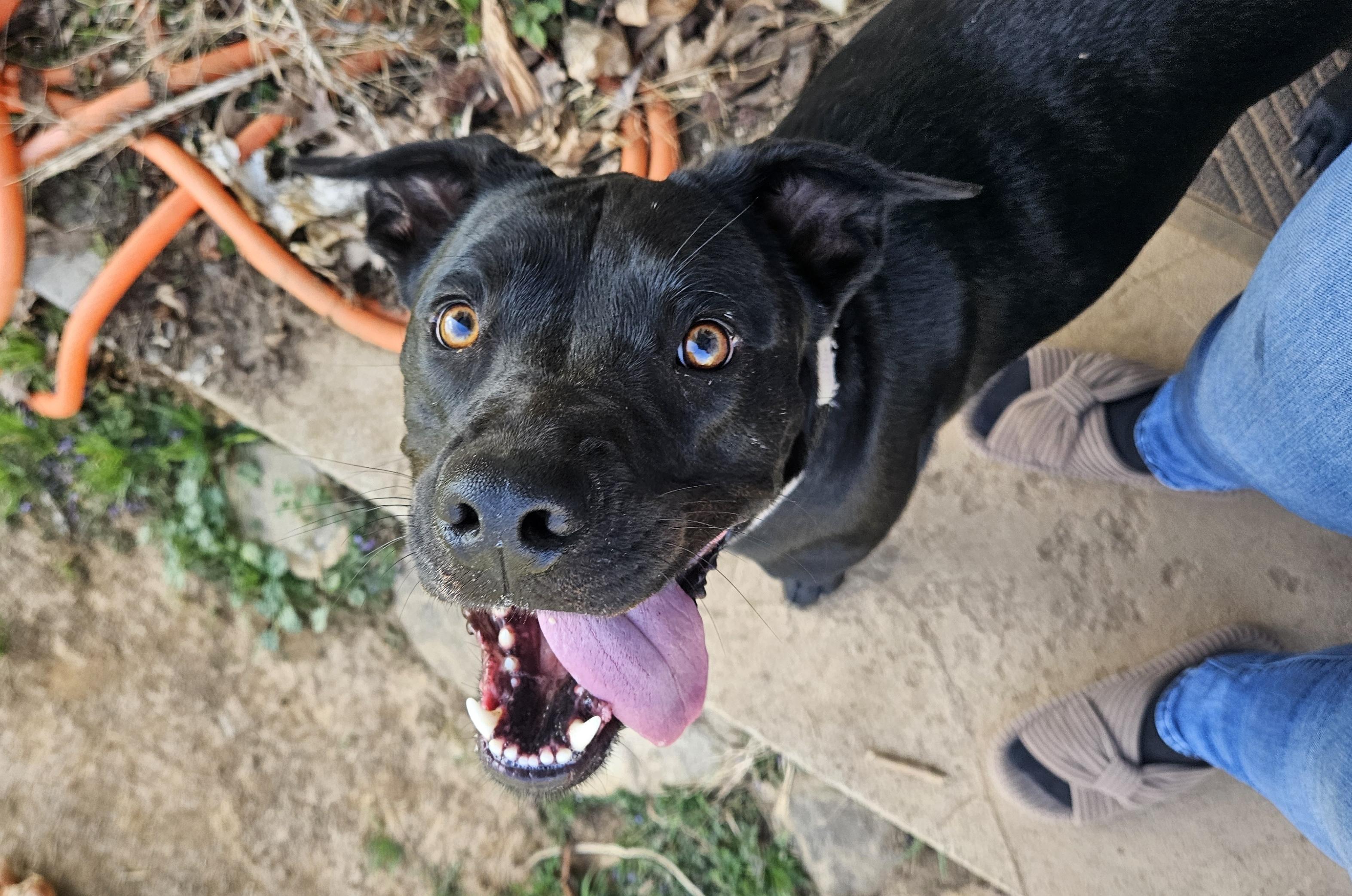 Tula Baloola — thumbnail 3