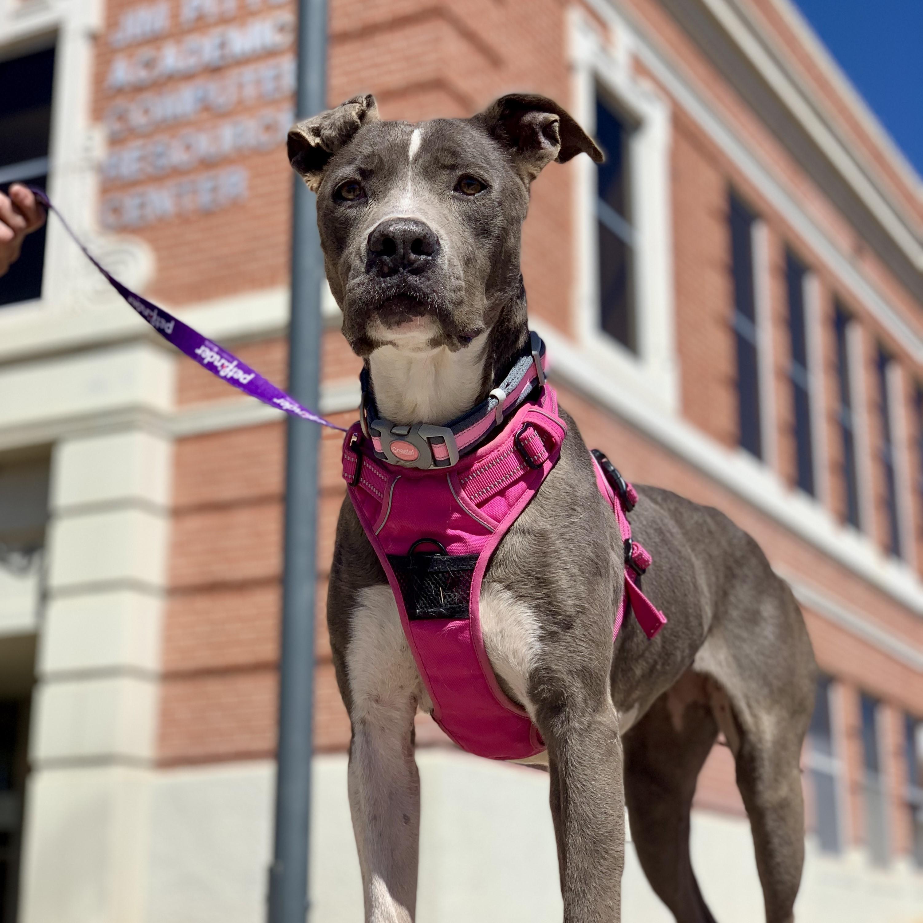 Luna
