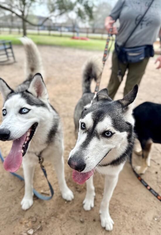 Ranger Roo The Coolest Dude — thumbnail 4