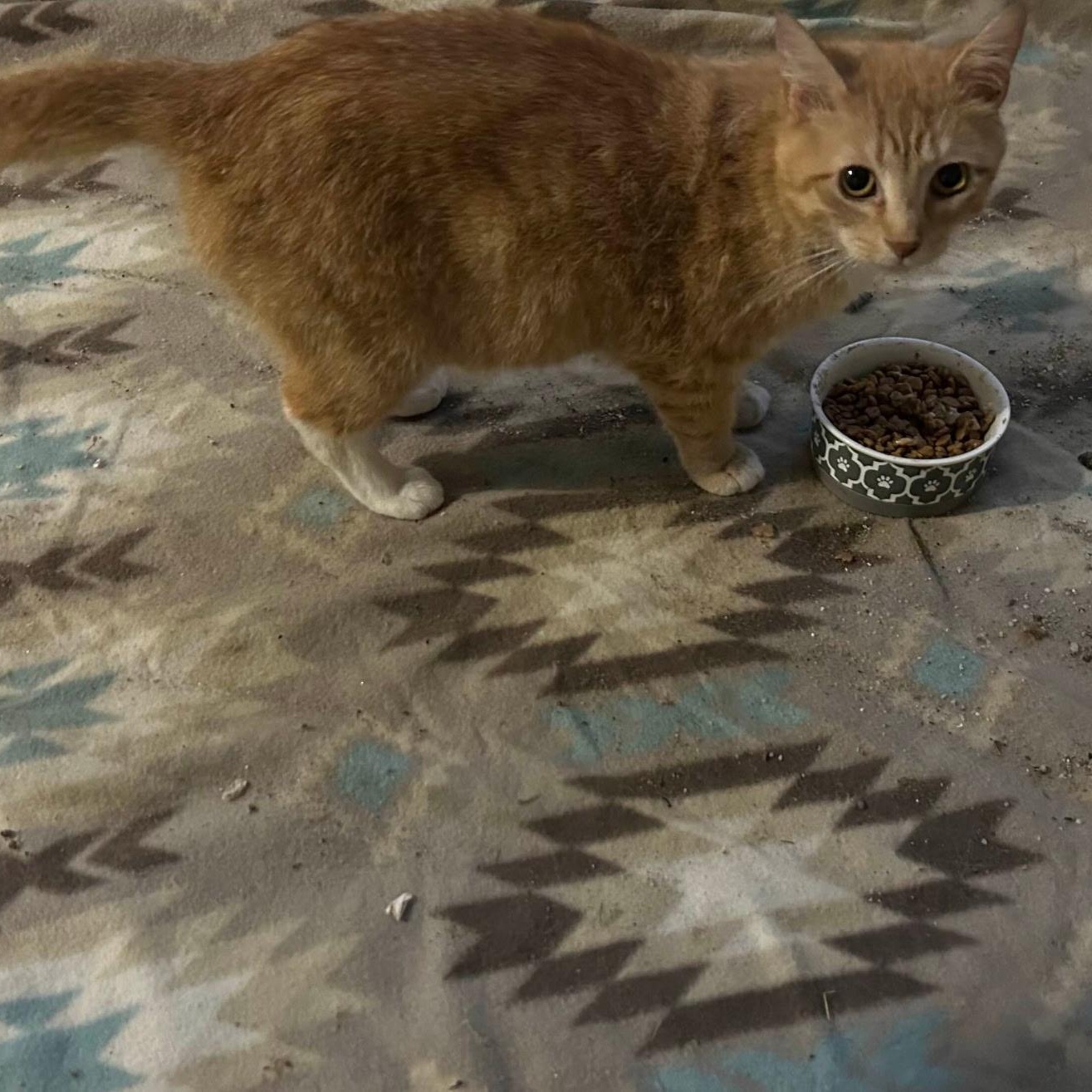 Photo of Lil Dude