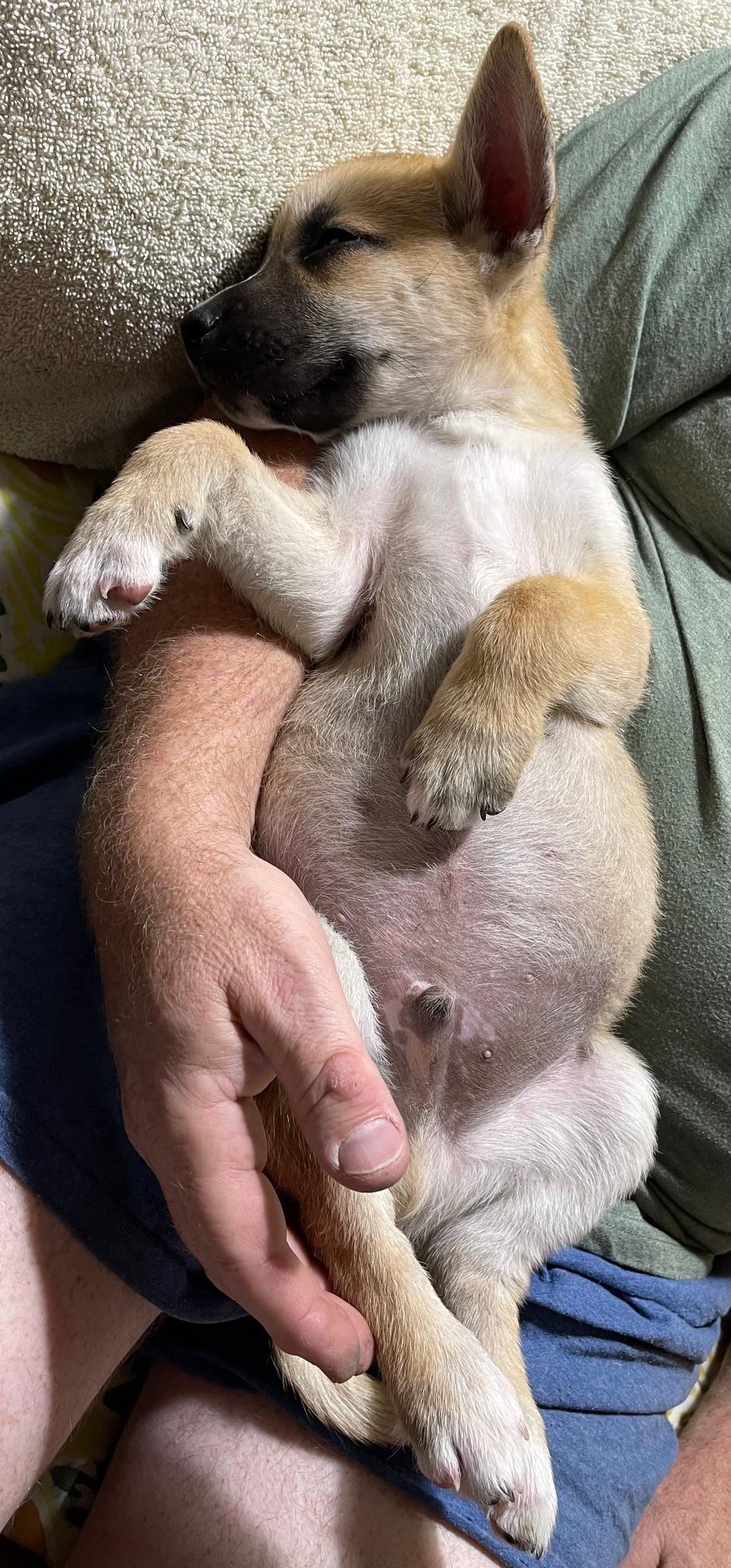 Charlie Brown thumbnail 4