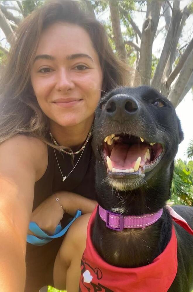 Enlarge Dante, a Adopted mixed breed in San Diego, CA image 6/6