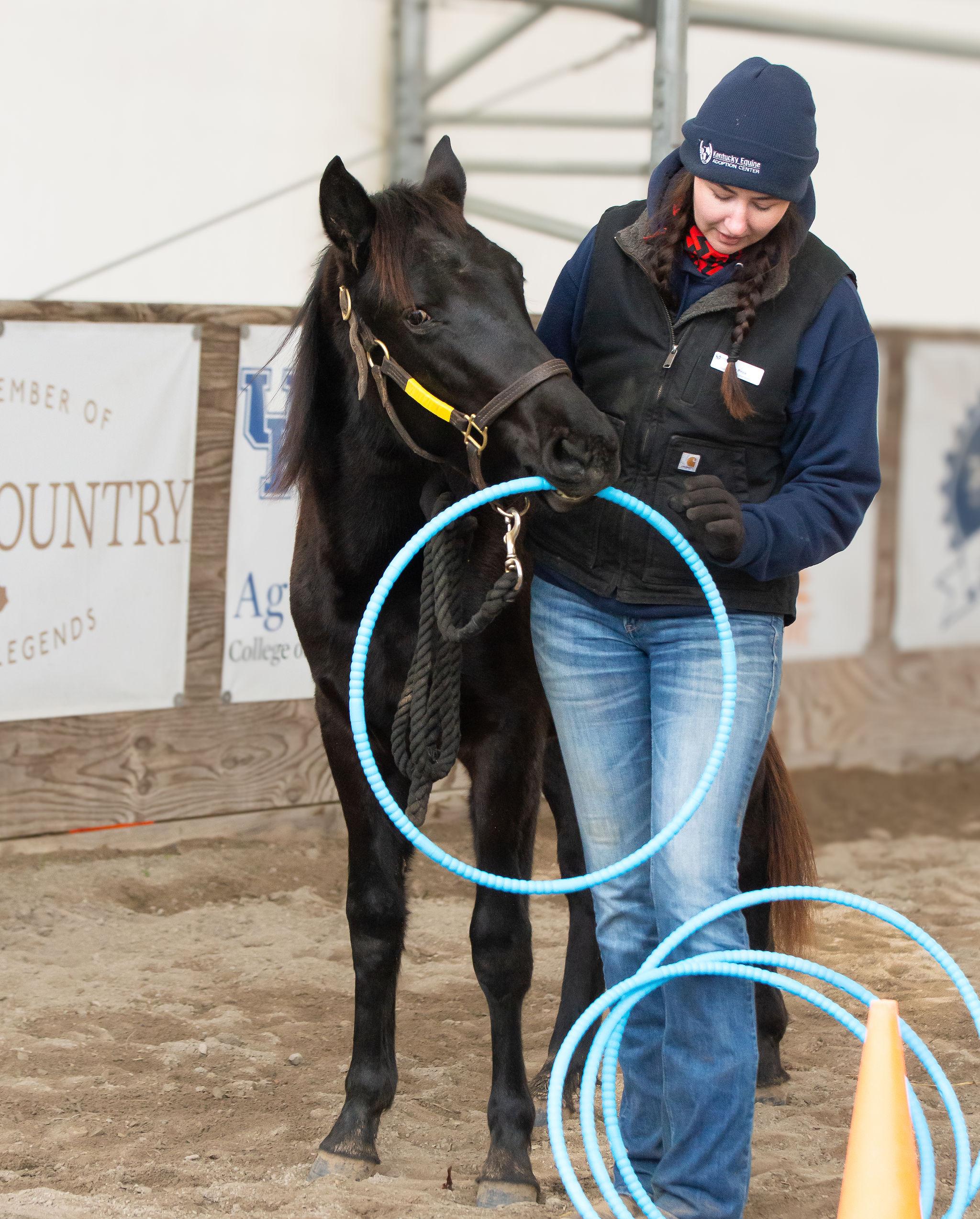 Enlarge Cyclone, a Adoptable Grade in Nicholasville, KY image 6/6
