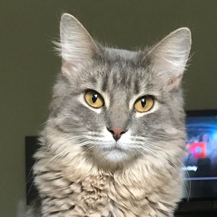 Kiki photo 4