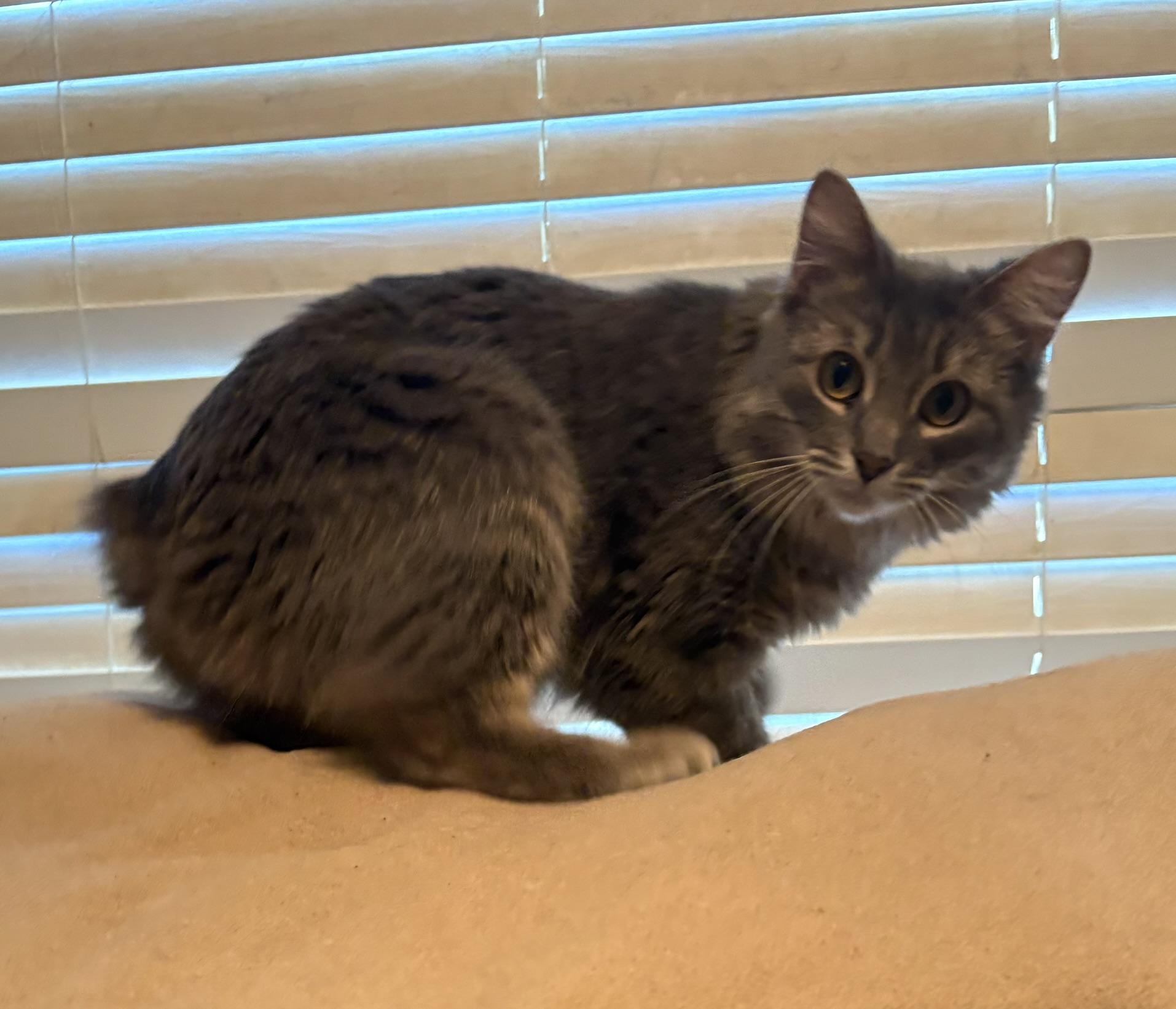 Kiki photo 5