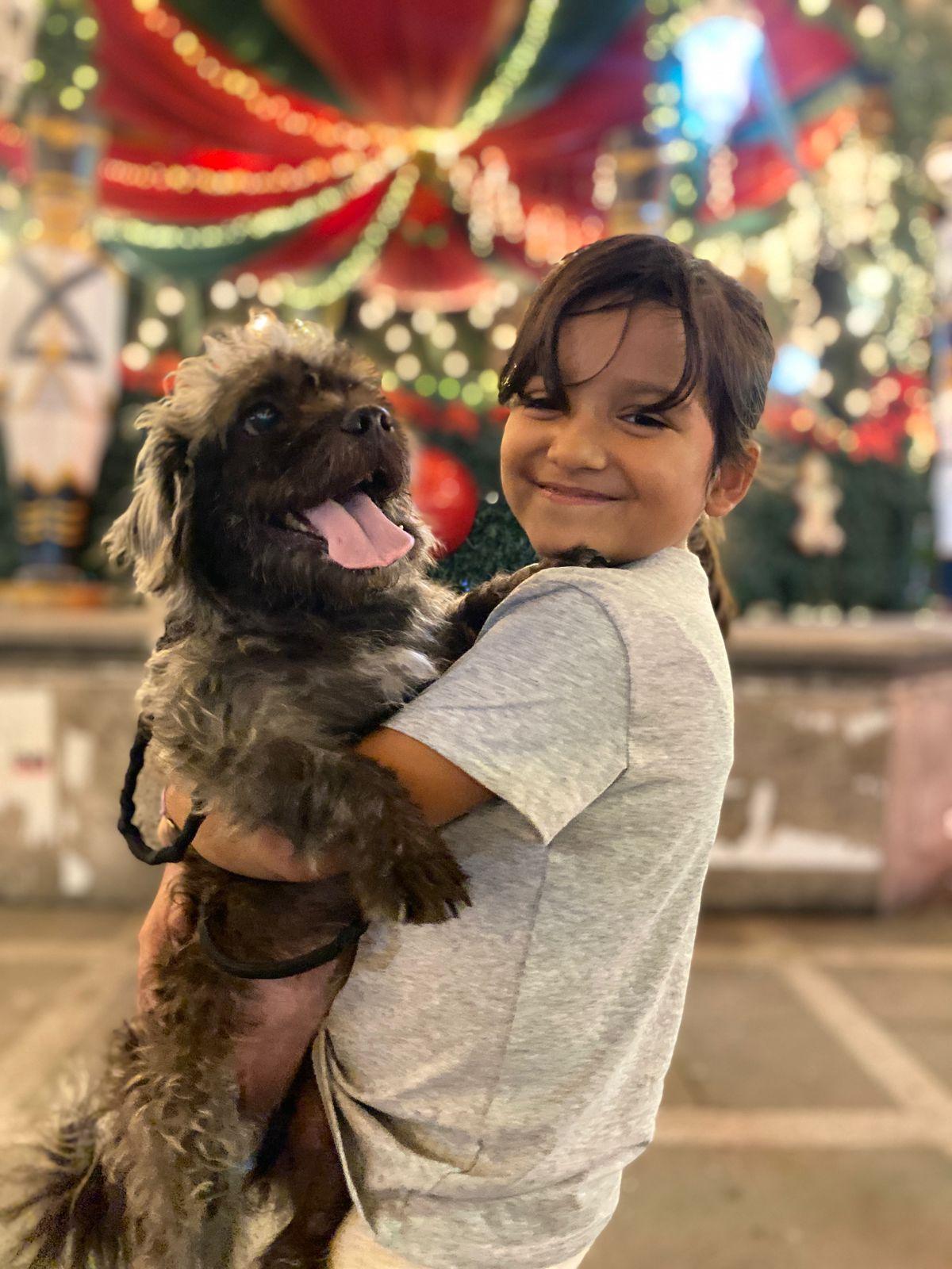 Enlarge Huizapol, a ADOPTABLE mixed breed in Vancouver, BC image 2/6