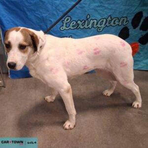 Heather — thumbnail 2