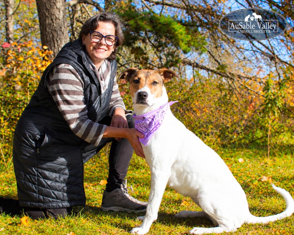 Enlarge Pixie, a Adoptable mixed breed in Grayling, MI image 6/6