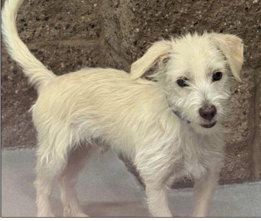 Come meet me July 3rd! I'm available at 1 pm and would love a family