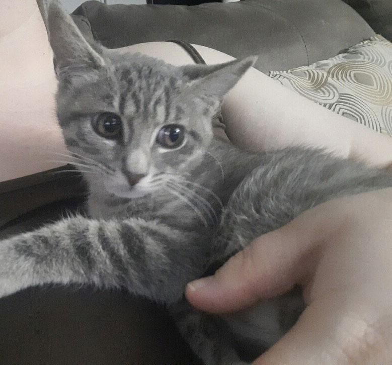 Stockholm thumbnail 2