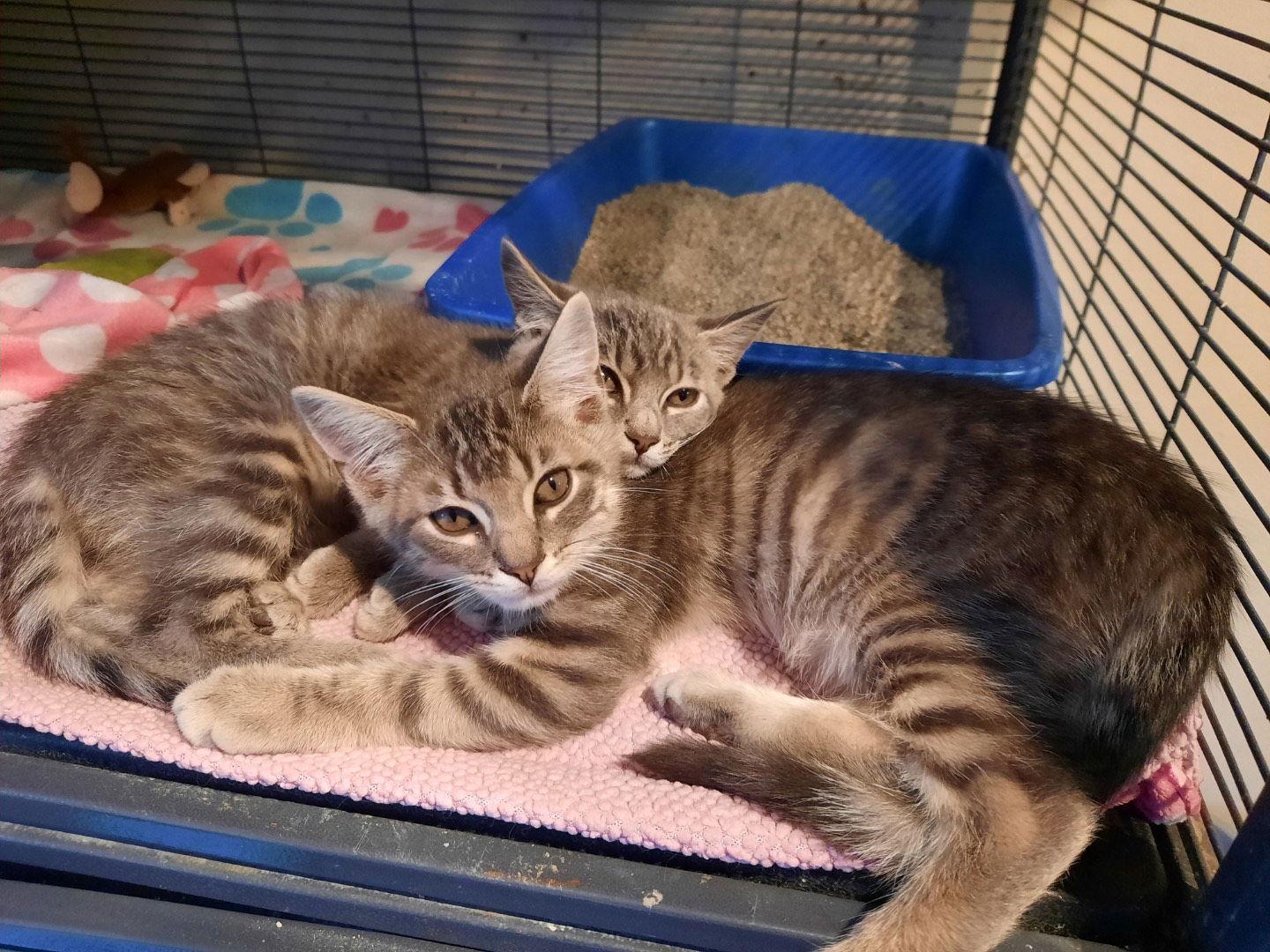 Stockholm thumbnail 3