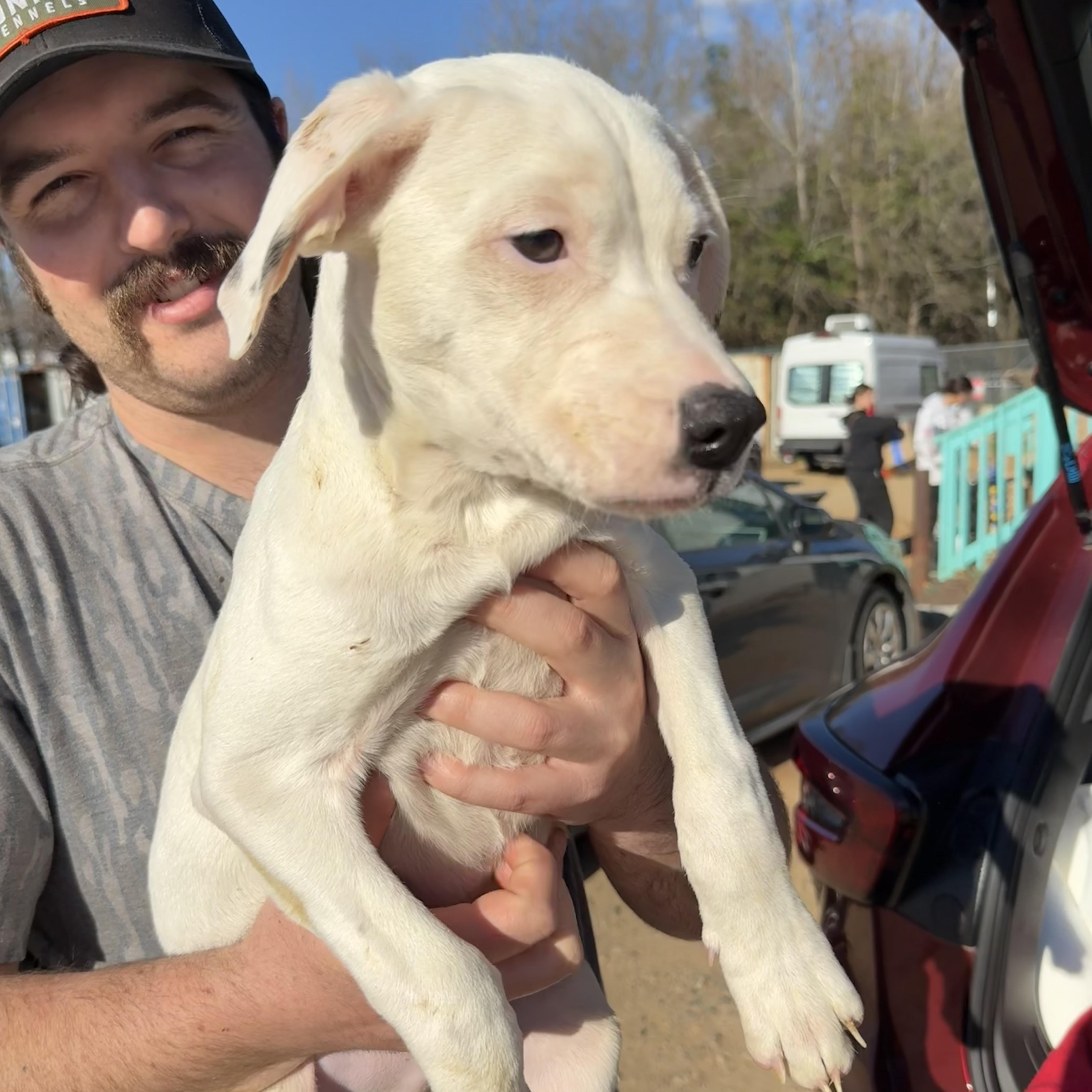 Electrolytes — thumbnail 4