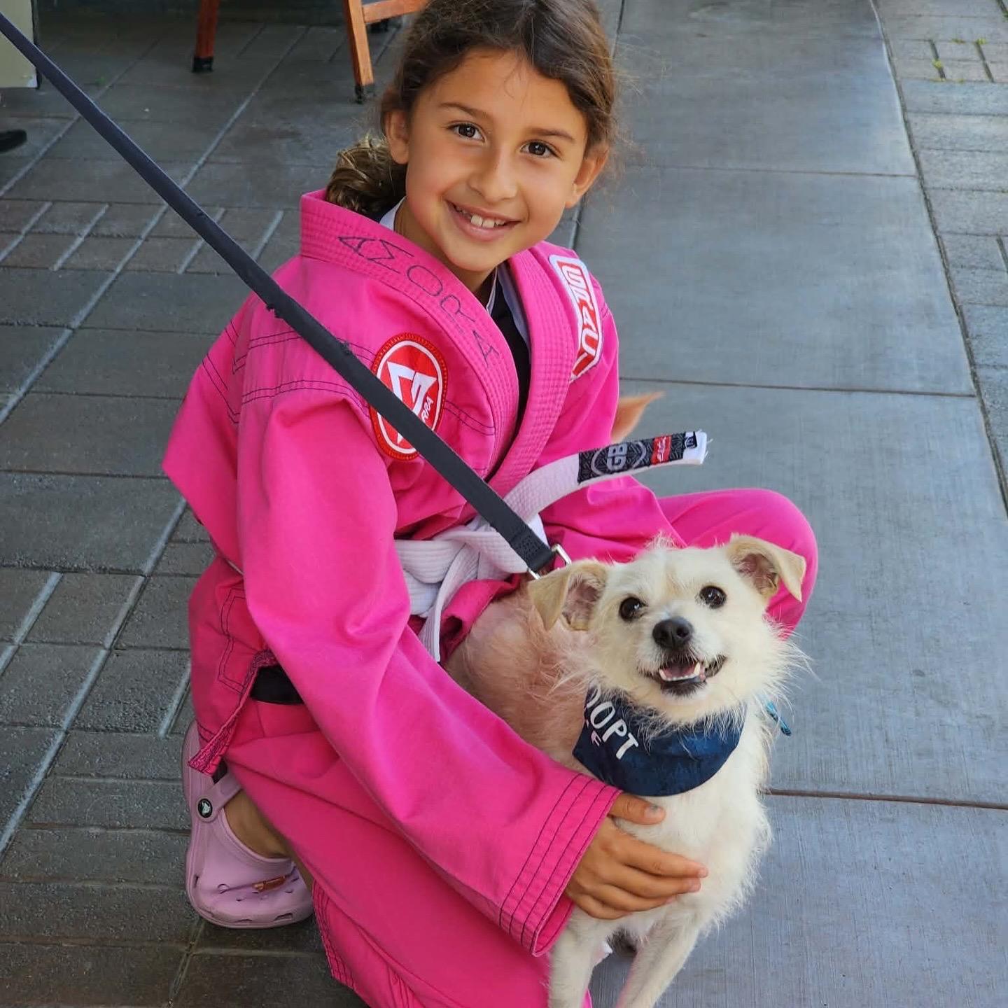 Enlarge Shelby, a ADOPTABLE mixed breed in Corona Del Mar, CA image 2/2