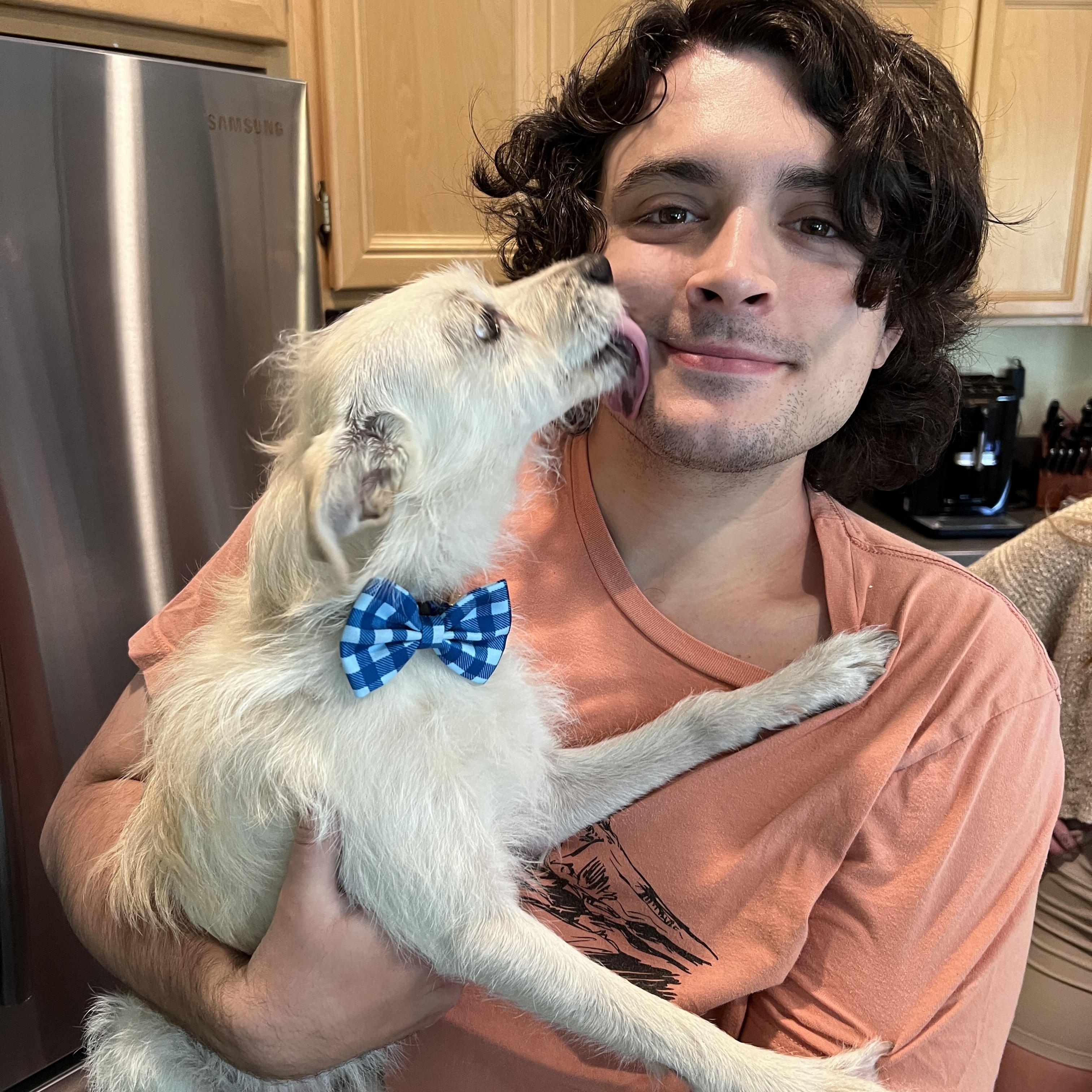 Enlarge Shelby, a ADOPTABLE mixed breed in Corona Del Mar, CA image 4/6