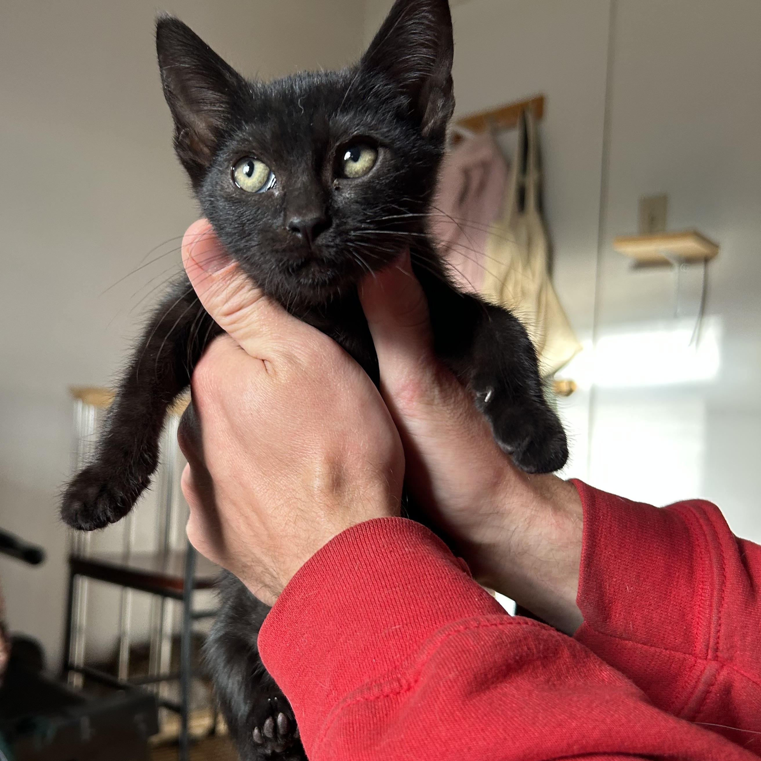 Cinderella Lindbergmcmahon thumbnail 4