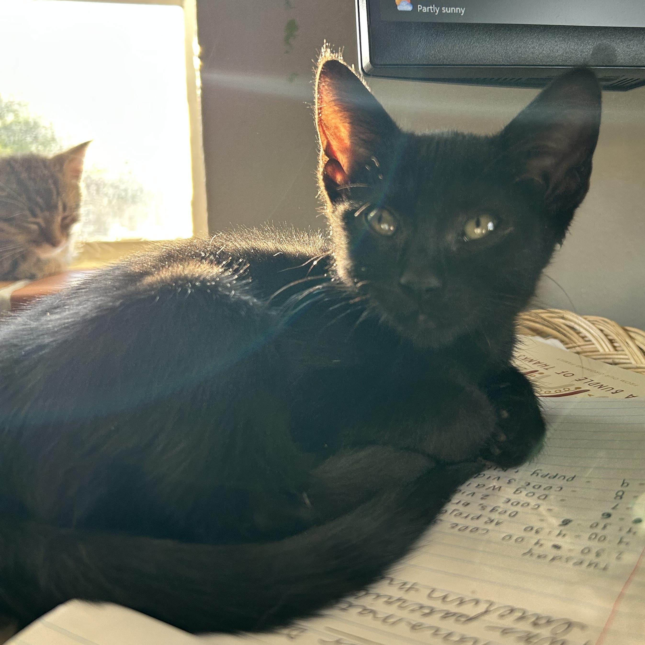 Cinderella Lindbergmcmahon thumbnail 5