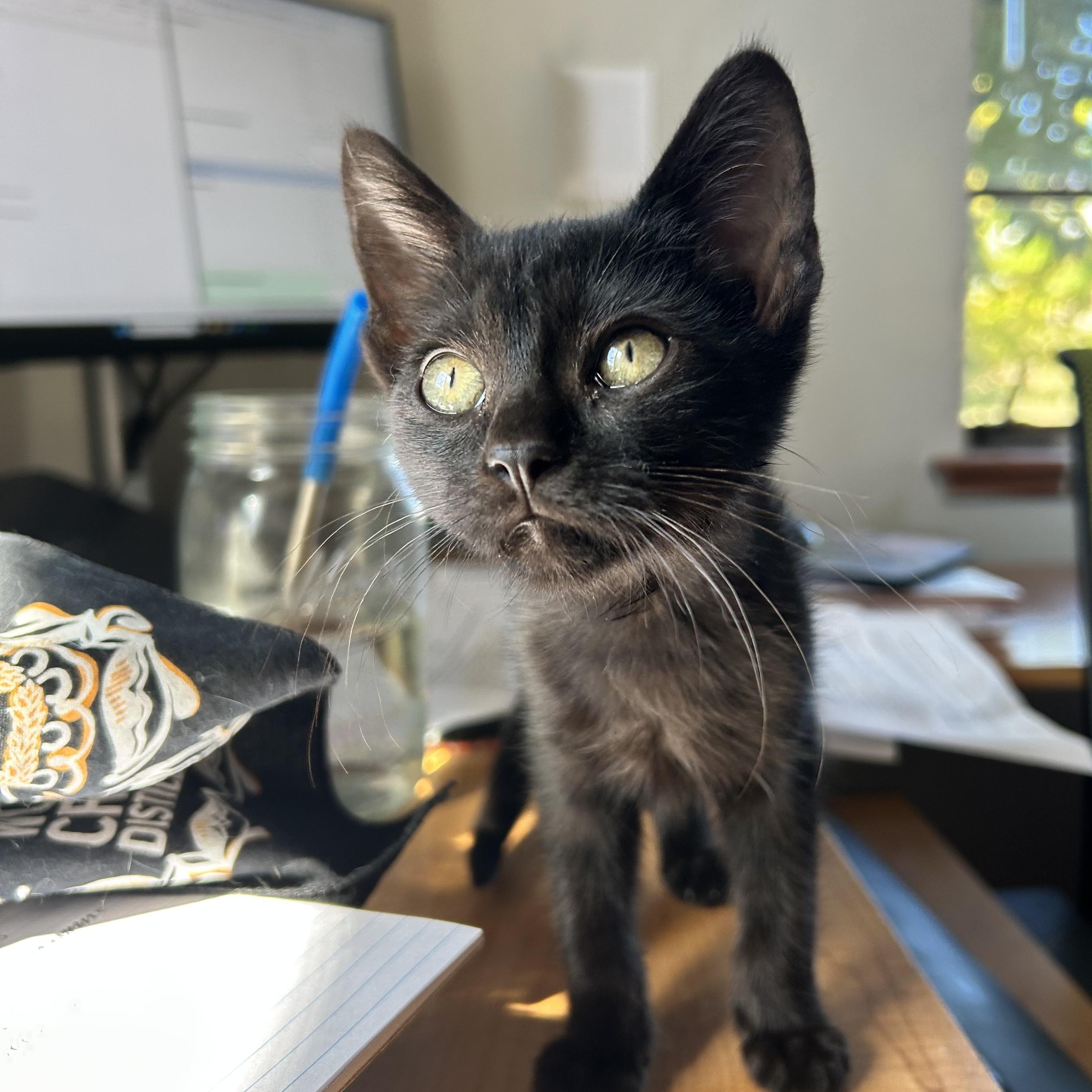 Cinderella Lindbergmcmahon thumbnail 2