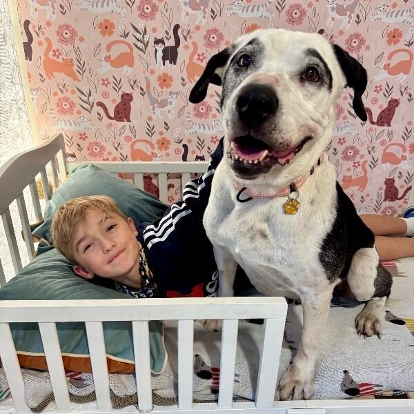 Frida Golden Girl Glow — thumbnail 5