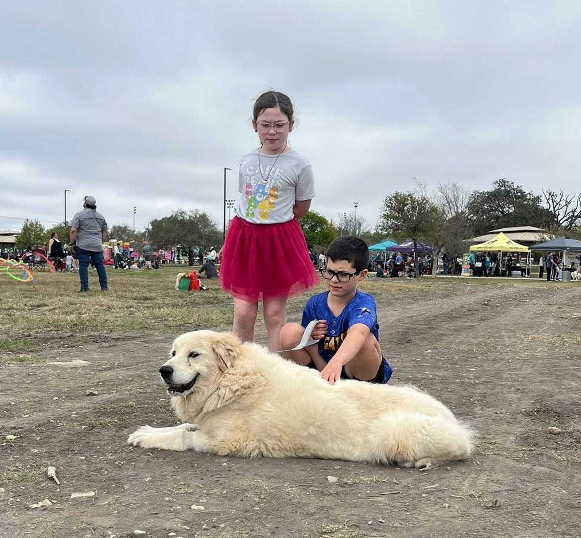 Little Sparrow SAT AN Nell, a Adopted Great Pyrenees in Quinlan, TX image 2/6