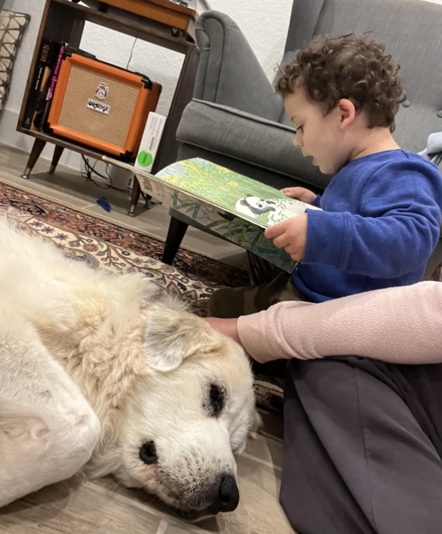 Little Sparrow SAT AN Nell, a Adopted Great Pyrenees in Quinlan, TX image 4/6