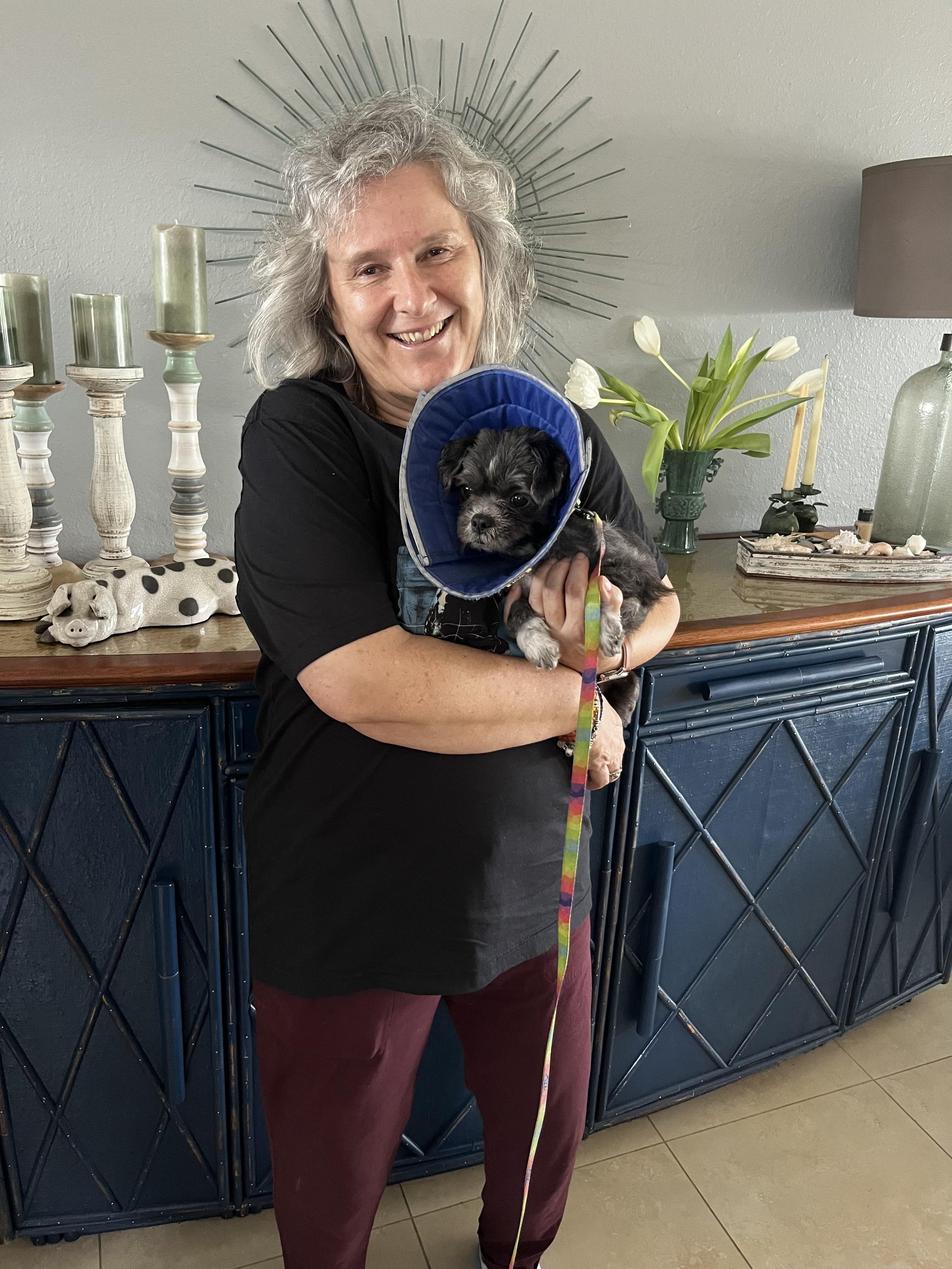 Enlarge Scruffy, a Adopted Maltese in Cape Coral, FL image 1/2