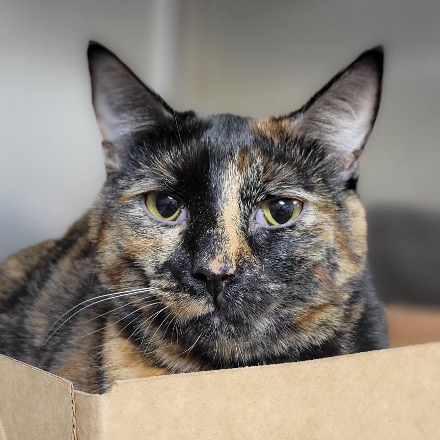 Baby — thumbnail 2