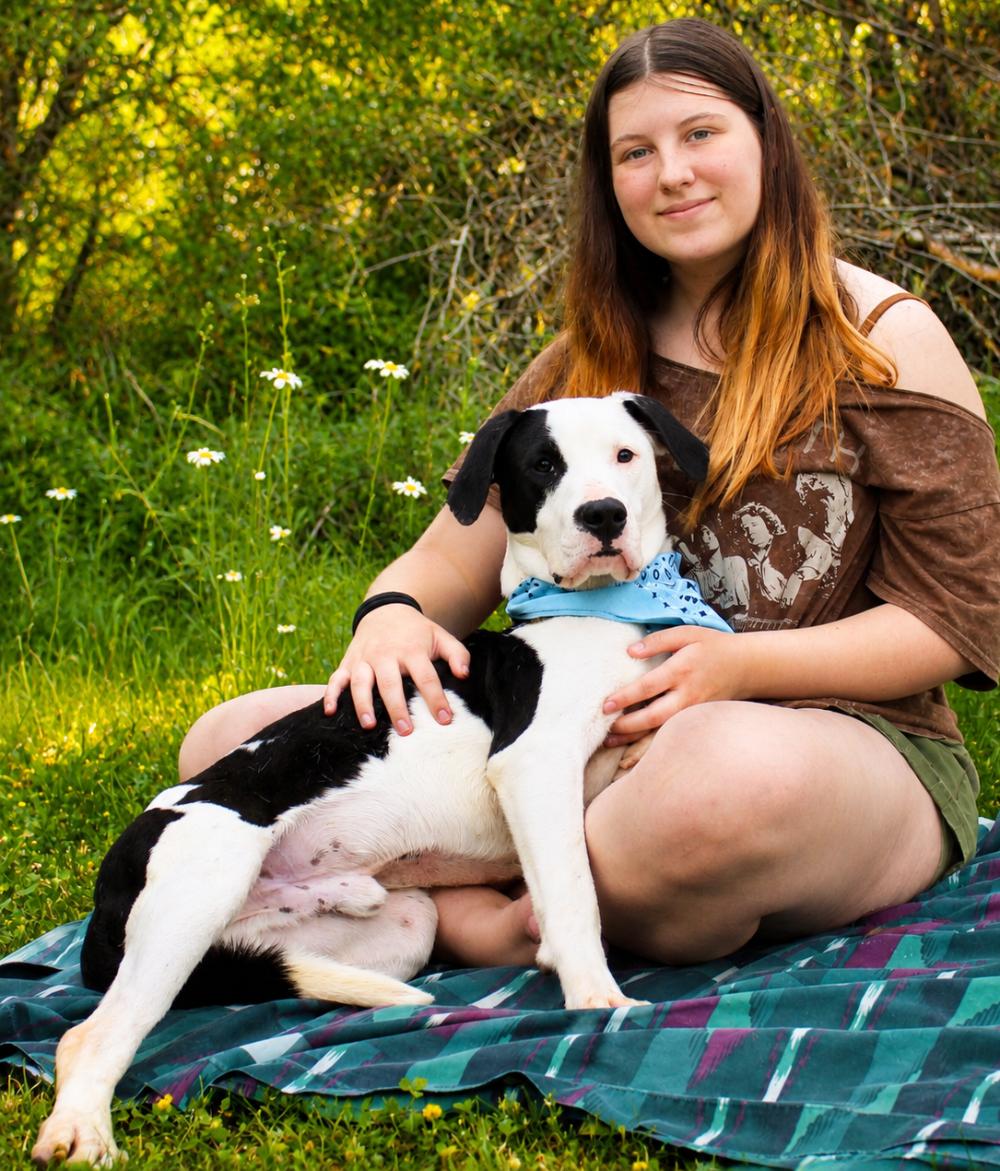 Tyson, a ADOPTABLE mixed breed in Grayling, MI image 4/6