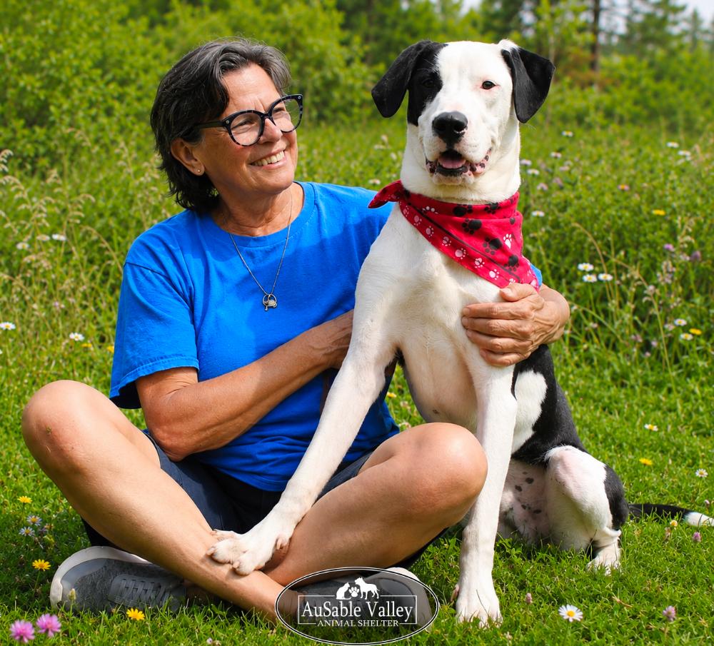 Enlarge Tyson, a ADOPTABLE mixed breed in Grayling, MI image 5/6