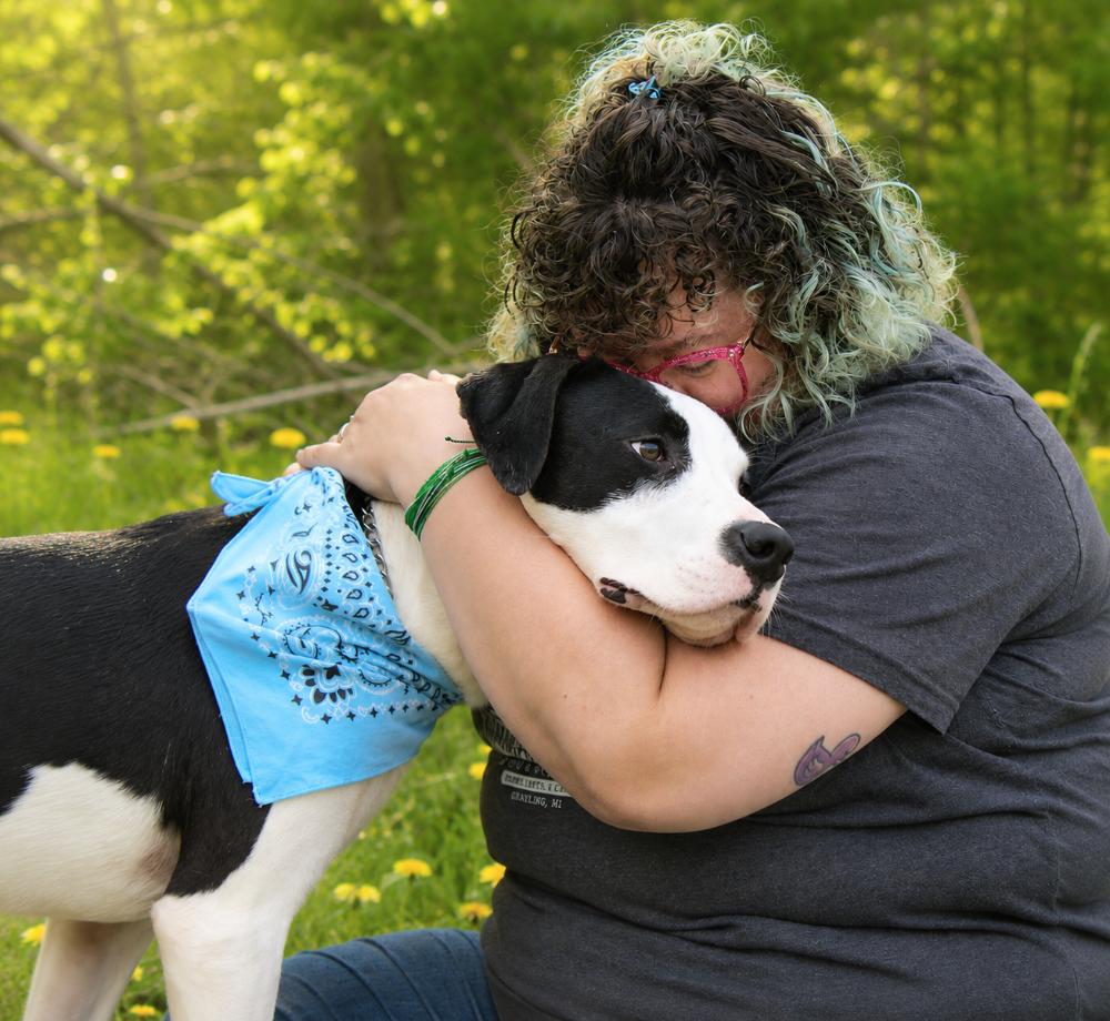 Tyson, a ADOPTABLE mixed breed in Grayling, MI image 3/6