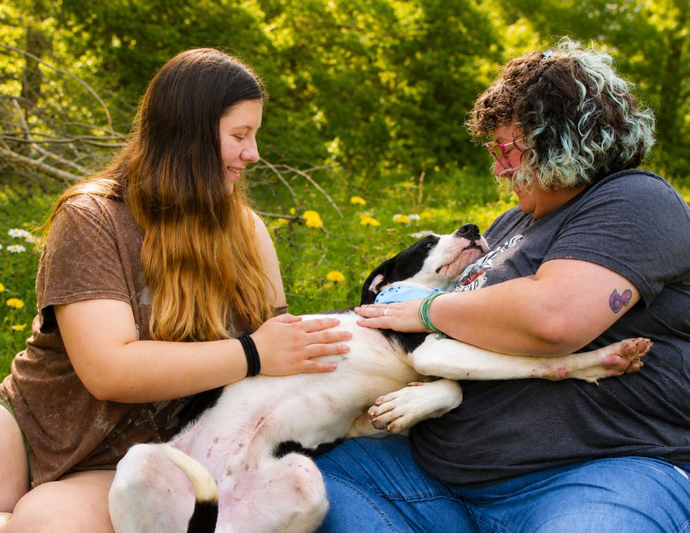 Tyson, a ADOPTABLE mixed breed in Grayling, MI image 5/6