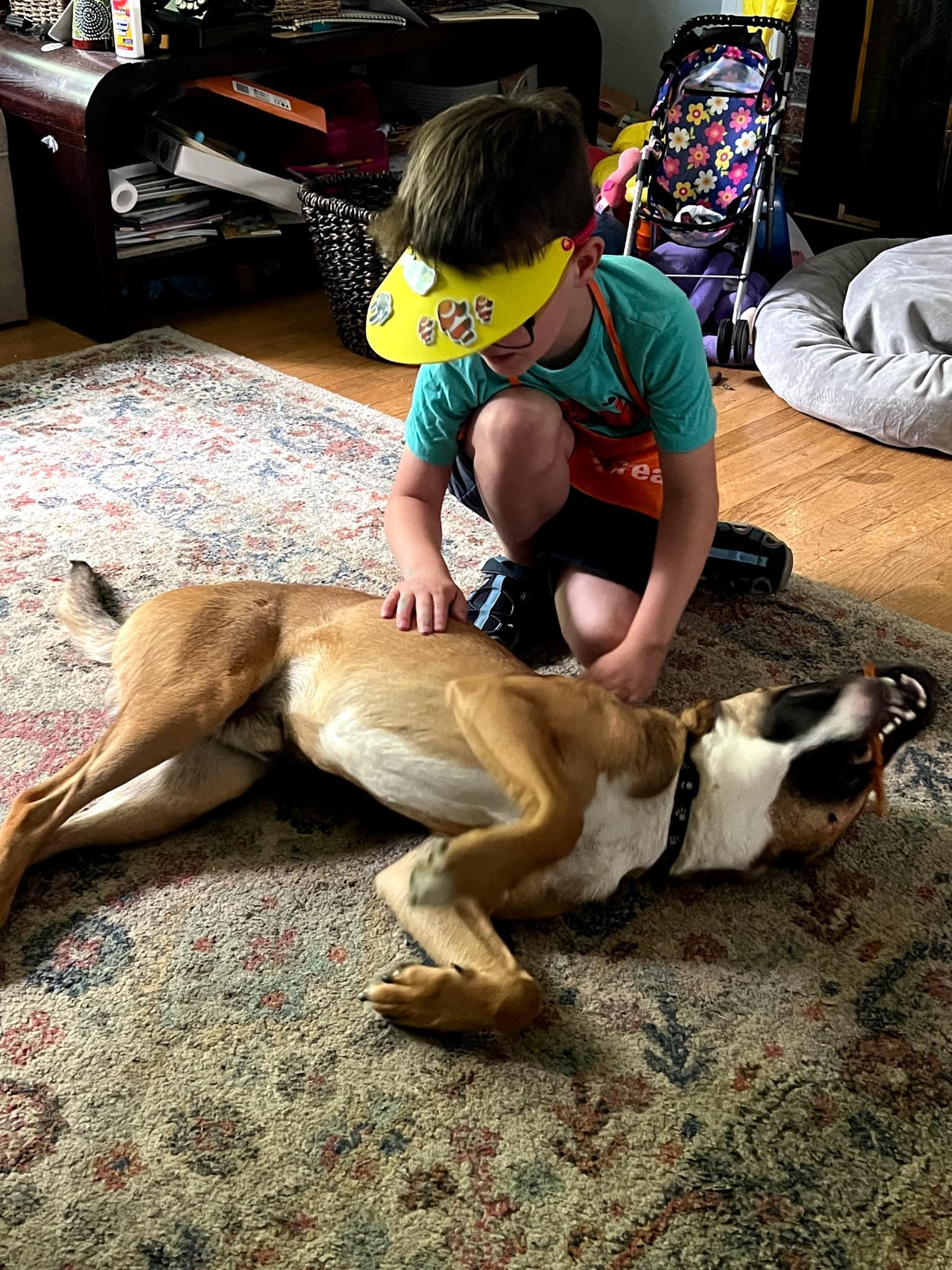 Enlarge Levi, a Adopted mixed breed in Christiansburg, VA image 2/3