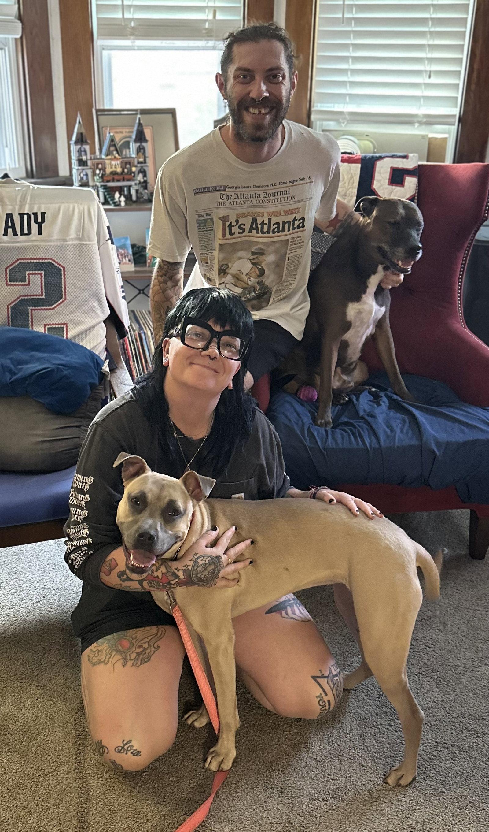 Roxy, a Adopted mixed breed in Tonawanda, NY image 3/3