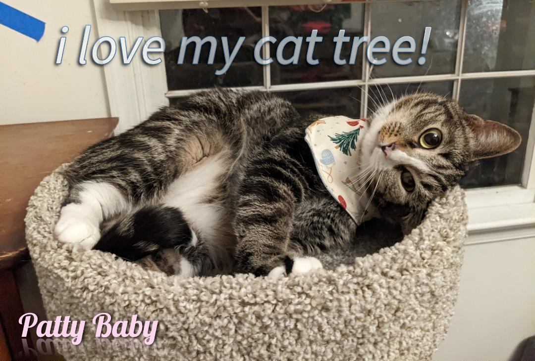 Patty Baby