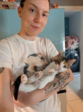 Enlarge Boba & Mochi, a Adoptable mixed breed in farmington, CT image 5/6