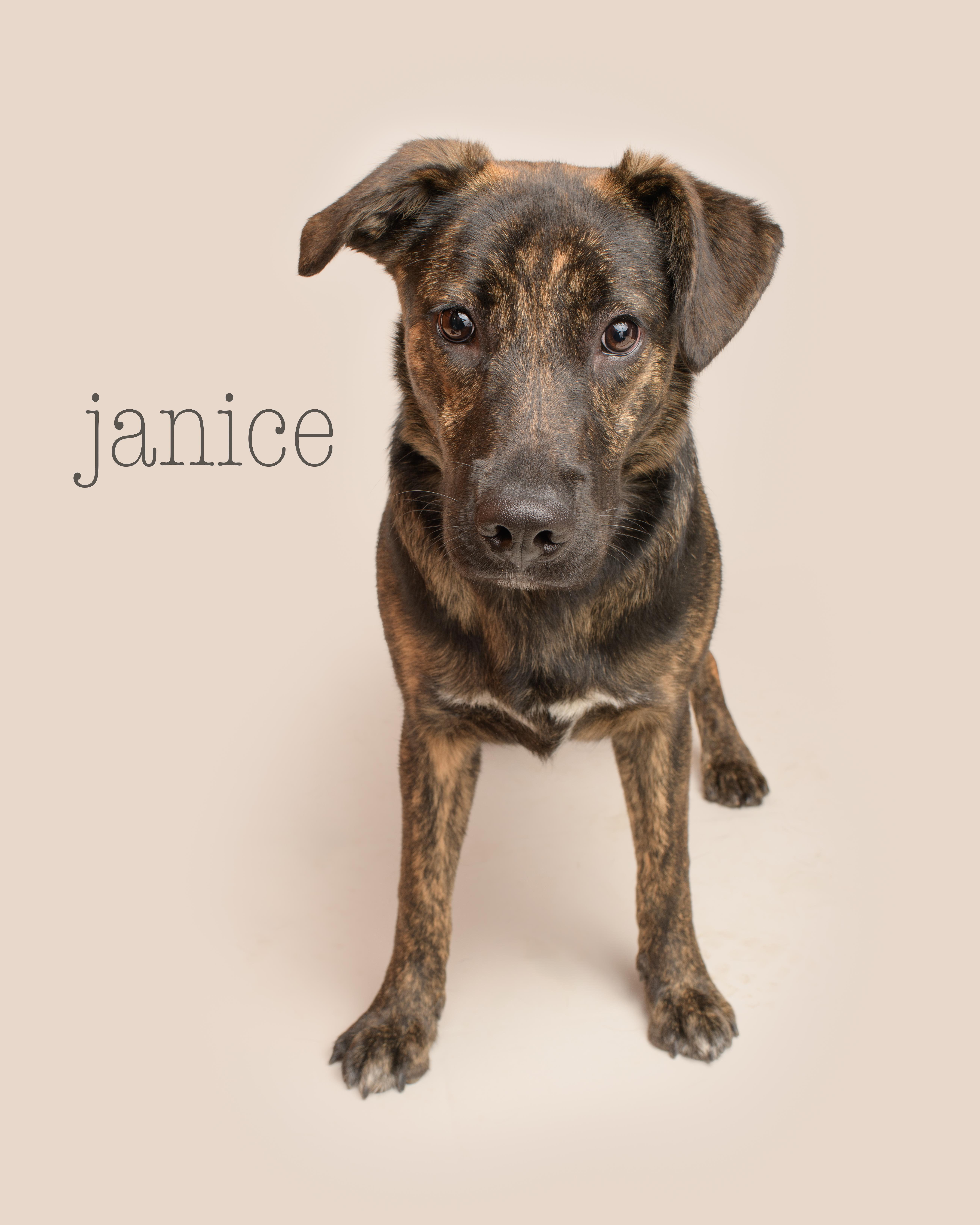Janice