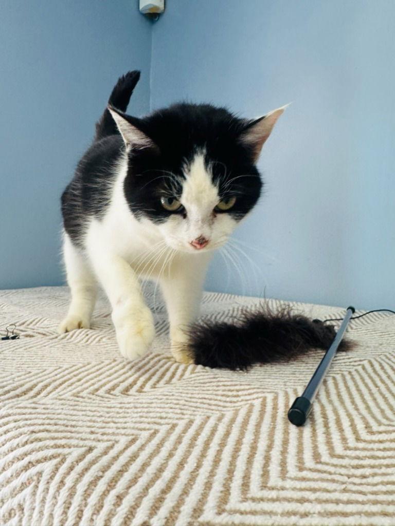 Chelsey — thumbnail 3