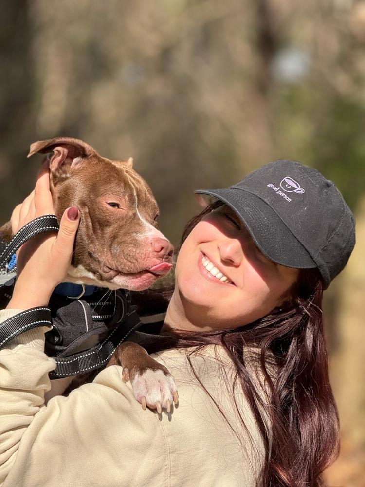 Amelia   (Maple May 2026), Adoptable, Young Female Pit Bull Terrier & Mixed Breed.