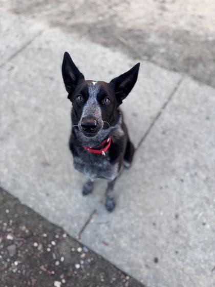 Myers — thumbnail 2