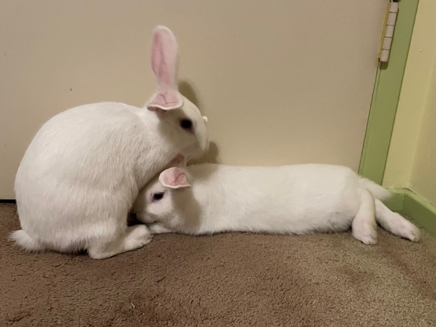 Vinnie & Paulie
