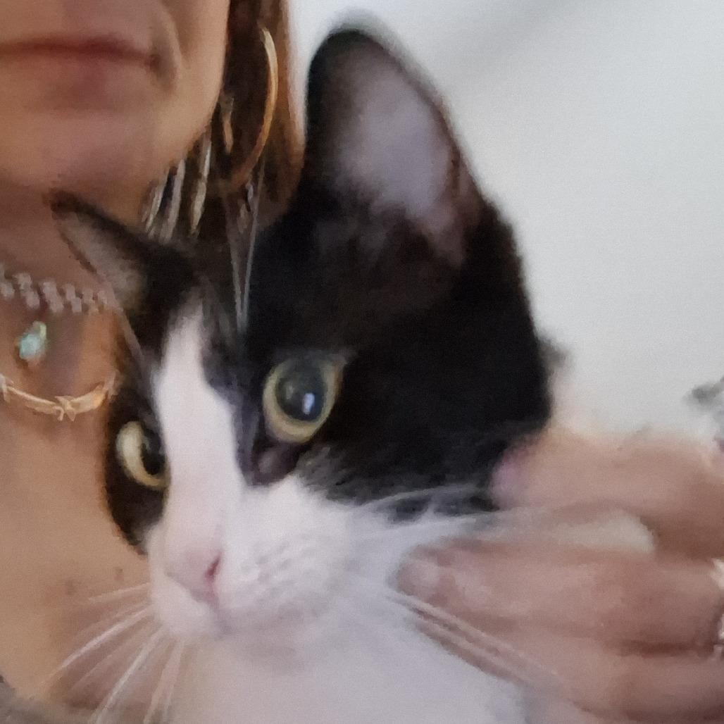 Milky — thumbnail 2