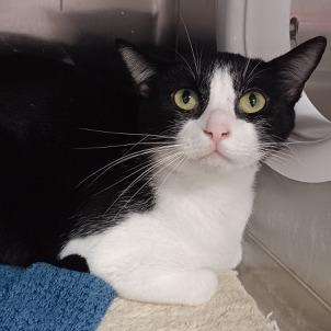 Milky — thumbnail 3