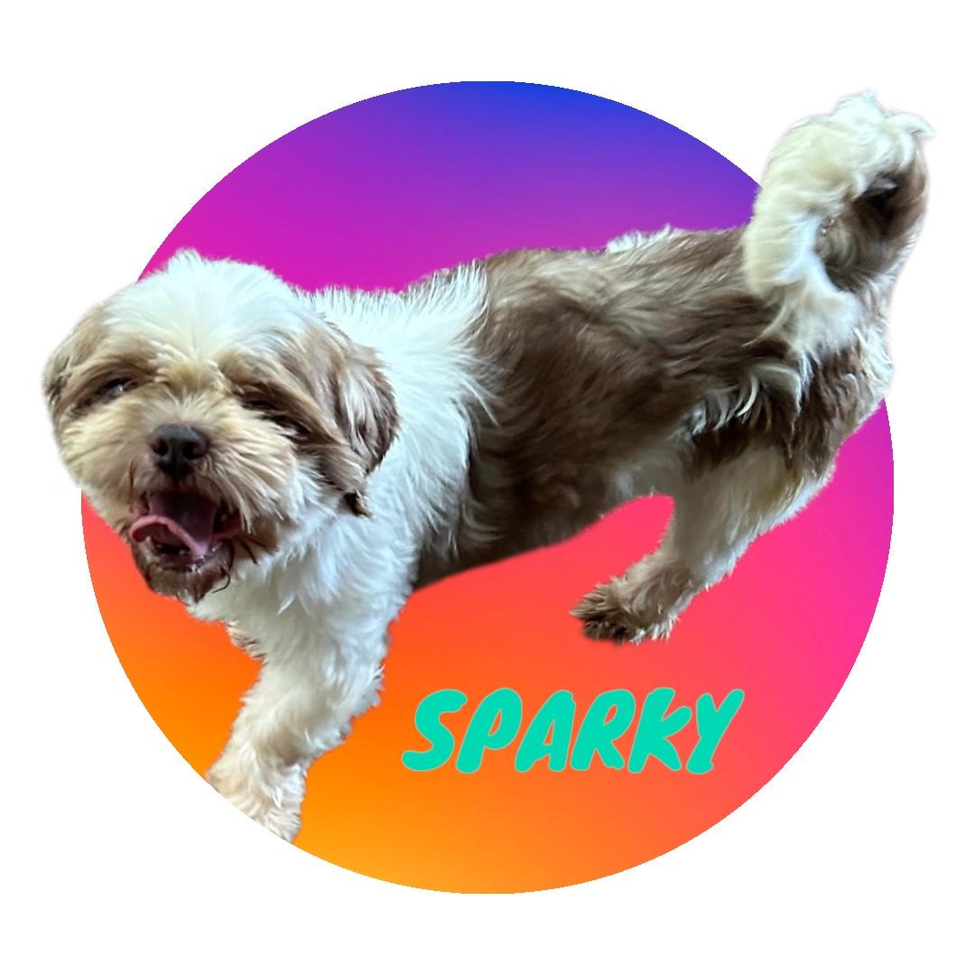 Sparky