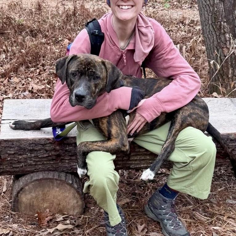 Caponie, a Adoptable Mixed Breed in Asheville, NC image 2/6