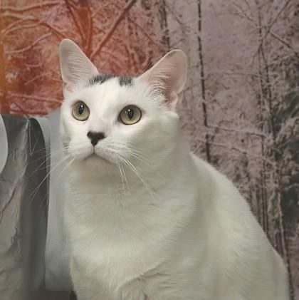 Casper — thumbnail 3