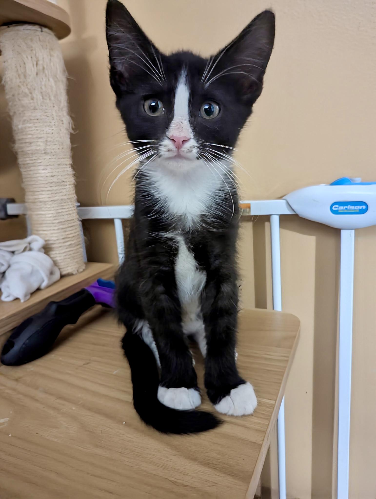 Zuko