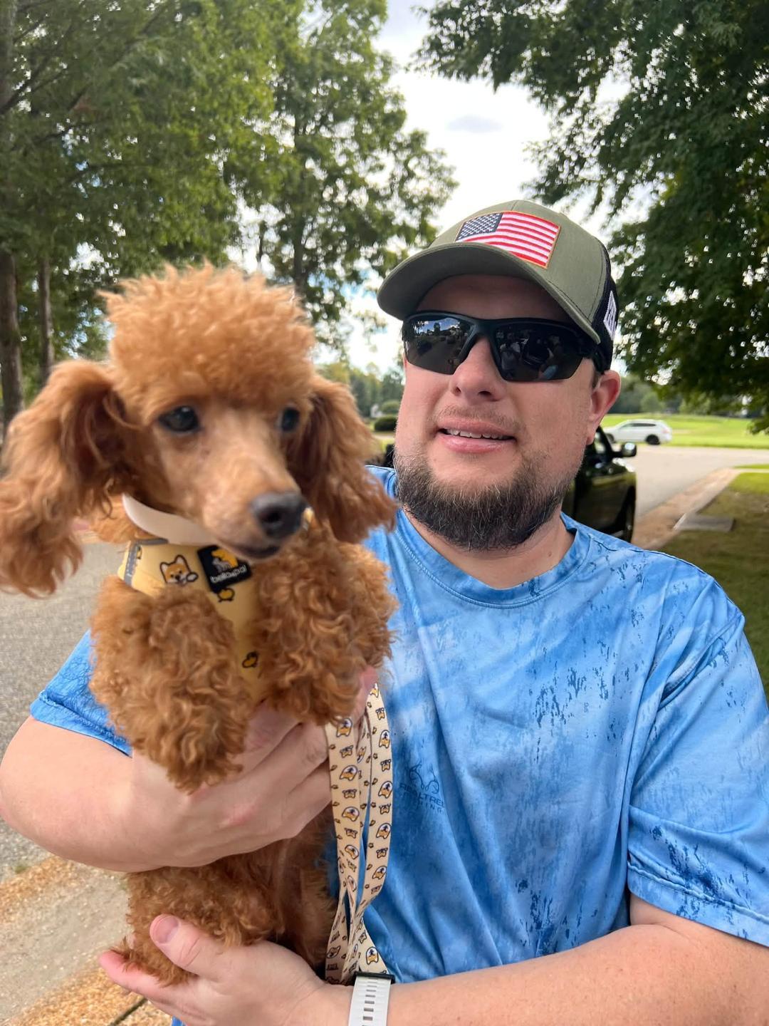Enlarge Truffle, a Adoptable Miniature Poodle in Williamsburg, VA image 4/5