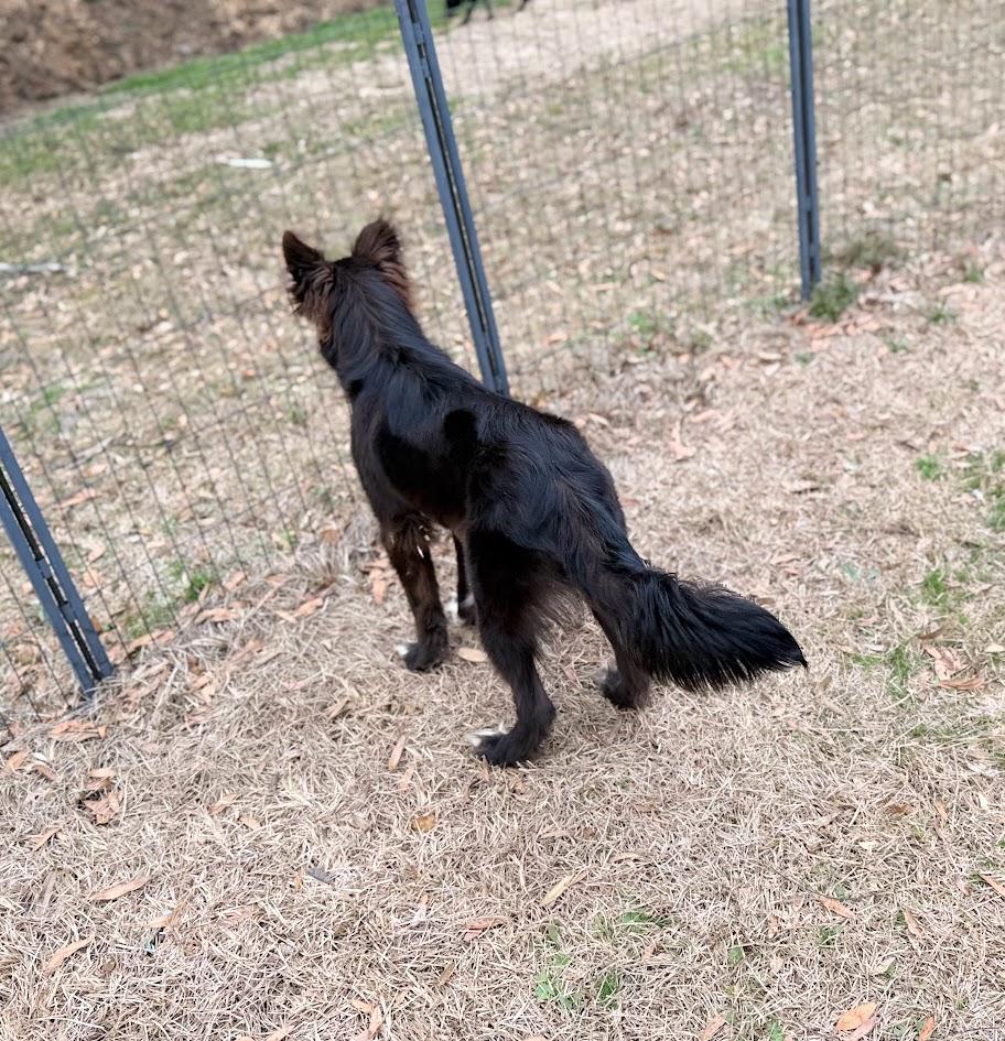 VEVO — thumbnail 4