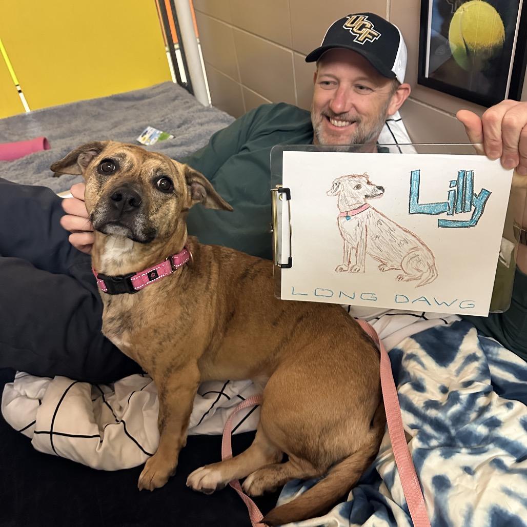 Enlarge Lily, a Adoptable Mixed Breed in Waukesha, WI image 3/6